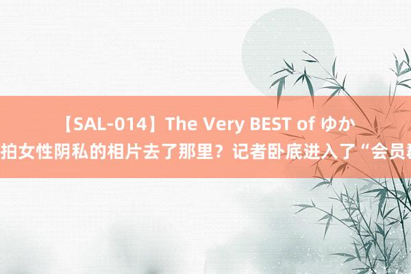 【SAL-014】The Very BEST of ゆか 偷拍女性阴私的相片去了那里？记者卧底进入了“会员群”