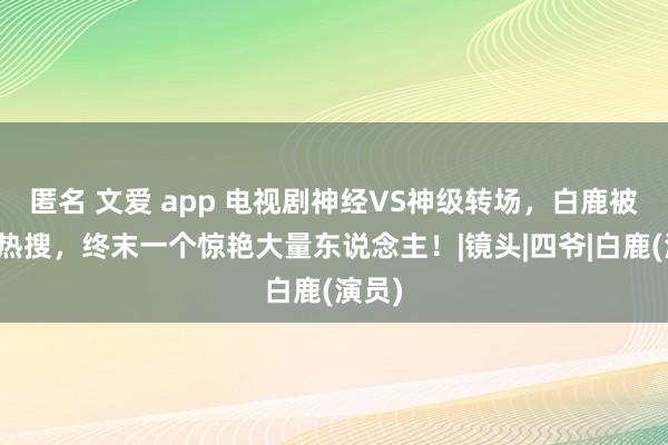 匿名 文爱 app 电视剧神经VS神级转场，白鹿被骂上热搜，终末一个惊艳大量东说念主！|镜头|四爷|白鹿(演员)