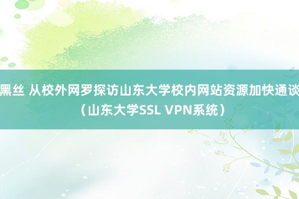 黑丝 从校外网罗探访山东大学校内网站资源加快通谈（山东大学SSL VPN系统）