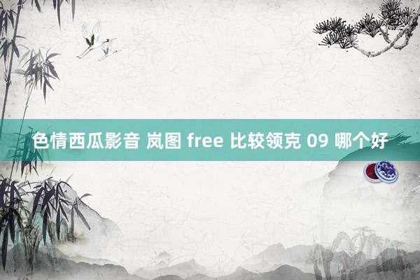 色情西瓜影音 岚图 free 比较领克 09 哪个好