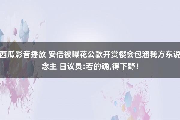 西瓜影音播放 安倍被曝花公款开赏樱会包涵我方东说念主 日议员:若的确，得下野！