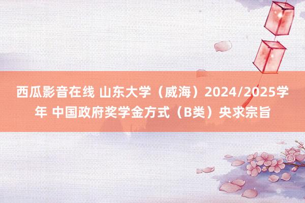 西瓜影音在线 山东大学（威海）2024/2025学年 中国政府奖学金方式（B类）央求宗旨