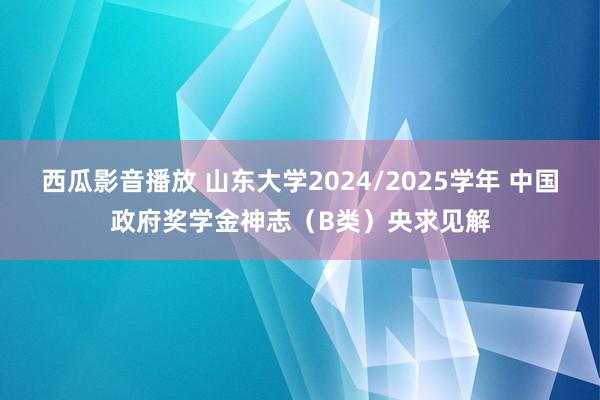 西瓜影音播放 山东大学2024/2025学年 中国政府奖学金神志（B类）央求见解