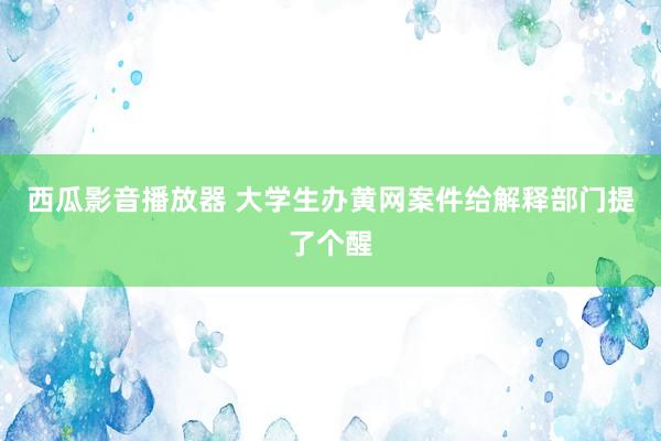 西瓜影音播放器 大学生办黄网案件给解释部门提了个醒