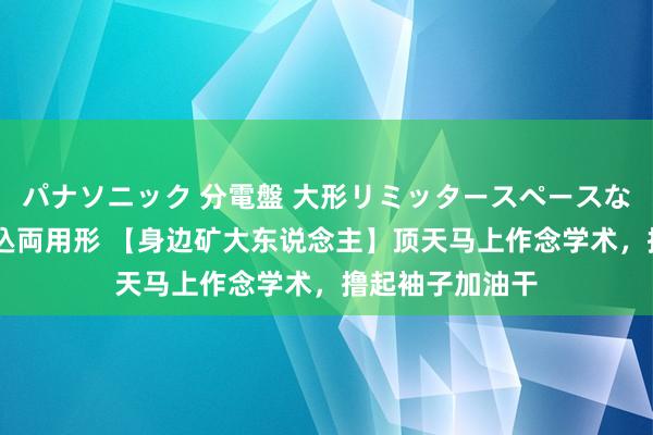 パナソニック 分電盤 大形リミッタースペースなし 露出・半埋込両用形 【身边矿大东说念主】顶天马上作念学术，撸起袖子加油干