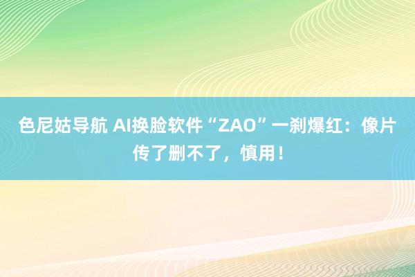 色尼姑导航 AI换脸软件“ZAO”一刹爆红：像片传了删不了，慎用！