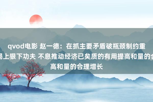 qvod电影 赵一德：在抓主要矛盾破瓶颈制约重前瞻布局上狠下功夫 不息推动经济已矣质的有用提高和量的合理增长