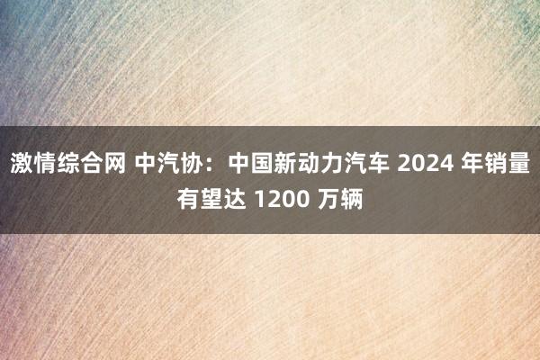 激情综合网 中汽协：中国新动力汽车 2024 年销量有望达 1200 万辆