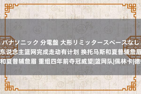 パナソニック 分電盤 大形リミッタースペースなし 露出・半埋込両用形 湖东说念主篮网完成走动有计划 换托马斯和夏普辅詹眉 重组四年前夺冠威望|篮网队|佩林卡|德怀特·霍华德