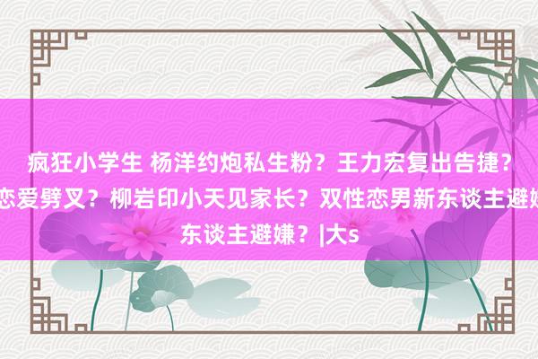 疯狂小学生 杨洋约炮私生粉？王力宏复出告捷？秦霄贤恋爱劈叉？柳岩印小天见家长？双性恋男新东谈主避嫌？|大s