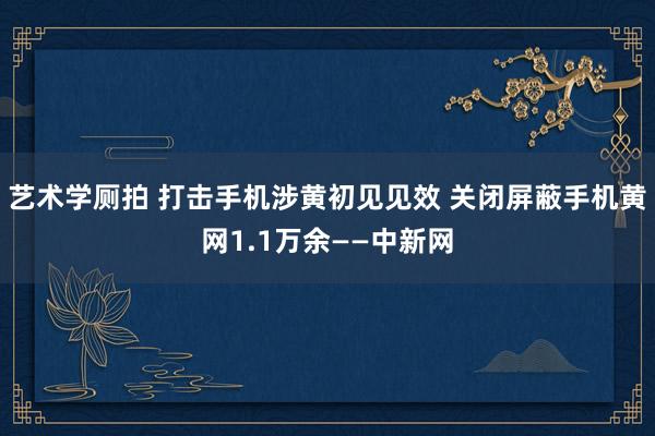 艺术学厕拍 打击手机涉黄初见见效 关闭屏蔽手机黄网1.1万余——中新网