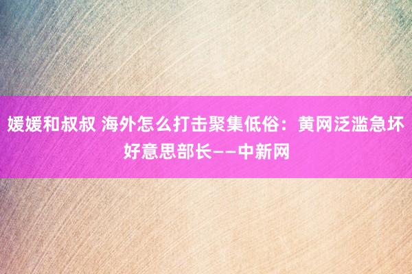 媛媛和叔叔 海外怎么打击聚集低俗：黄网泛滥急坏好意思部长——中新网