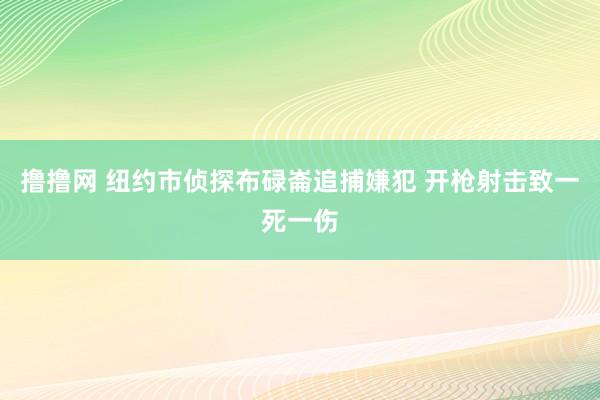 撸撸网 纽约市侦探布碌崙追捕嫌犯 开枪射击致一死一伤