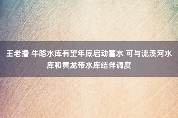 王老撸 牛路水库有望年底启动蓄水 可与流溪河水库和黄龙带水库结伴调度