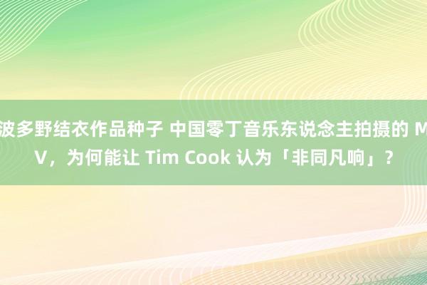 波多野结衣作品种子 中国零丁音乐东说念主拍摄的 MV，为何能让 Tim Cook 认为「非同凡响」？