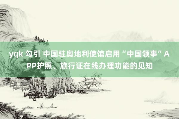 yqk 勾引 中国驻奥地利使馆启用“中国领事”APP护照、旅行证在线办理功能的见知